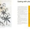 Natural Yarn Dyes: 25 vibrant and sustainable recipes - Image 3