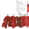 Natural Yarn Dyes: 25 vibrant and sustainable recipes - Image 2