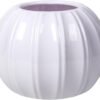 White Pumpkin-Shaped Plastic Vase – Decorative Fall Vase for Dry Flowers, Halloween & Thanksgiving, Home, Office, Party, or Wedding - Image 2