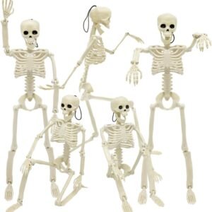 5 Pack 16" Posable Skeletons – Halloween Full Body Props for Haunted House & Graveyard Decor