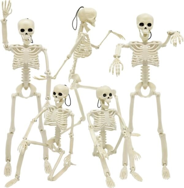 5 Pack 16" Posable Skeletons – Halloween Full Body Props for Haunted House & Graveyard Decor