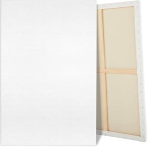 2-Pack Large 30x40 Pre-Stretched Cotton Canvases – Primed Blank Boards for Acrylic, Oil & Watercolor Painting