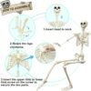 5.4FT Life-Size Skeleton with Skeleton Dog – Halloween Graveyard & Haunted House Decor - Image 4