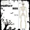 5 Pack 16" Posable Skeletons – Halloween Full Body Props for Haunted House & Graveyard Decor - Image 4