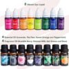 Complete Soap Making Kit for Adults & Kids – Includes Soap Melter, 5 lb Base, Molds, Cutter & Fragrances - Image 2