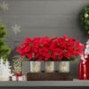 LED Poinsettia Artificial Christmas Flowers – Red Table Centerpiece in Pot & Wood Box for Holiday Decor - Image 4