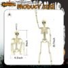 8 Pack 16" Posable Skeletons – Full Body Halloween Decor for Yard, Garden & Haunted House Props - Image 5