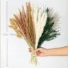 100 PCS Dried Fall Pampas Grass Bouquet – Reed Grass & Rabbit Tail Stems for Boho Home, Farmhouse, Wedding & Party Centerpieces - Image 3
