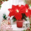 2-Pack Lighted Poinsettia Plants – Pre-Lit Silk Flowers in Pots for Christmas Home & Office Decor (Red) - Image 3