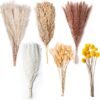 100 PCS Natural Dried Fall Pampas Grass – 17.5" Fluffy Boho Bouquets for Home, Party & Table Decorations - Image 5