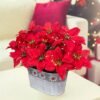 Christmas Poinsettia Table Centerpiece – LED Artificial Flowers in Rustic Metal Pot, Holiday Décor, 1 Pack - Image 4