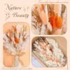 17" Dried Pampas Grass Bouquet – Orange Bunny Tail Flowers, Fall Table Centerpiece & Holiday Home Decor - Image 4
