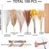 100 PCS Natural Dried Fall Pampas Grass – 17.5" Fluffy Boho Bouquets for Home, Party & Table Decorations - Image 4
