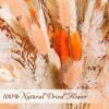 17" Dried Pampas Grass Bouquet – Orange Bunny Tail Flowers, Fall Table Centerpiece & Holiday Home Decor - Image 3