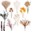 90 PCS Fall Dried Pampas Grass Bouquet – Autumn Floral Stems for Boho Weddings, Thanksgiving Centerpieces, Home & Table Decorations - Image 5