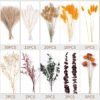 90 PCS Fall Dried Pampas Grass Bouquet – Autumn Floral Stems for Boho Weddings, Thanksgiving Centerpieces, Home & Table Decorations - Image 4