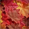 300 Pcs Artificial Fall Maple Leaves – Multicolor Autumn Leaves for Weddings, Crafts, Thanksgiving & Decorations - Image 5