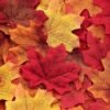1100 Pcs Artificial Fall Maple Leaves – Multicolor Autumn Leaves for Table, Wedding, Party & Thanksgiving Decor - Image 5