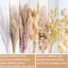 Boho Dried Pampas Grass Arrangement – Rustic Table Centerpiece for Weddings & Home Decor - Image 4